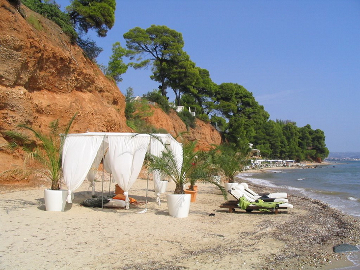  Metamorfosi, Sitonija 